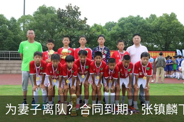 为妻子离队？合同到期，张镇麟下家4选1，广东2队有机会